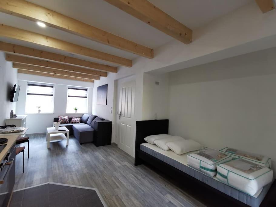 Altstadt-Apartment & Fewo Og Fuer Max 3 Pers ฮาลเดนสเลเบน ภายนอก รูปภาพ
