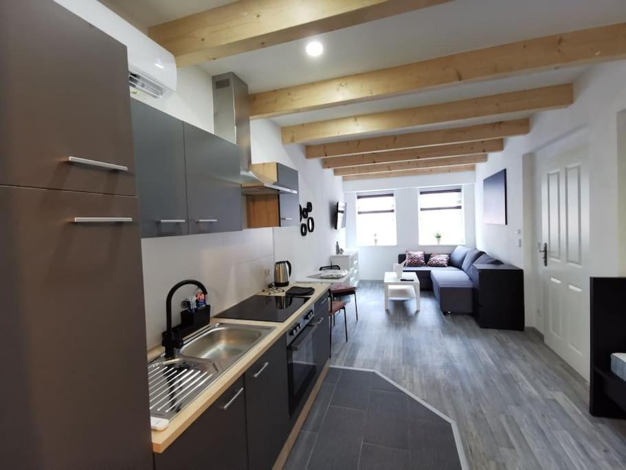 Altstadt-Apartment & Fewo Og Fuer Max 3 Pers ฮาลเดนสเลเบน ภายนอก รูปภาพ
